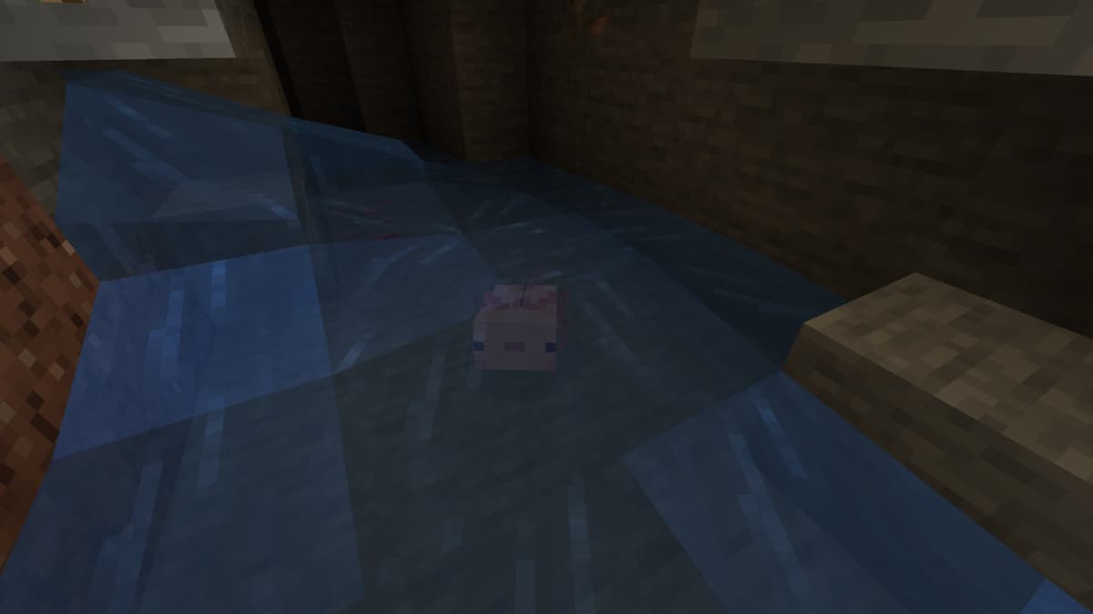 如何在 Minecraft 中馴服蠑螈