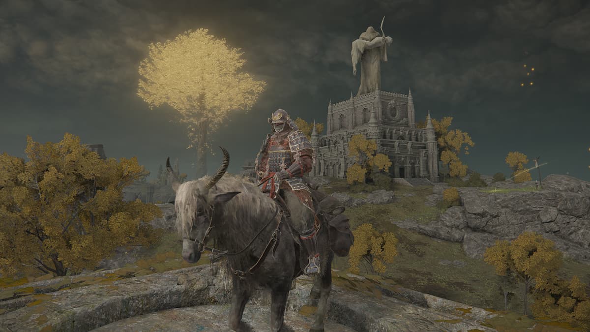 來自埃爾登環（Elden Ring）的雙子少女果殼（Twin Maiden husks）購買哪些物品？