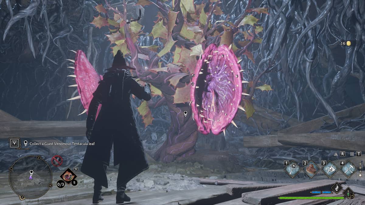 您是否应该在霍格沃茨遗产中给邓肯（Duncan）有毒的触手叶？