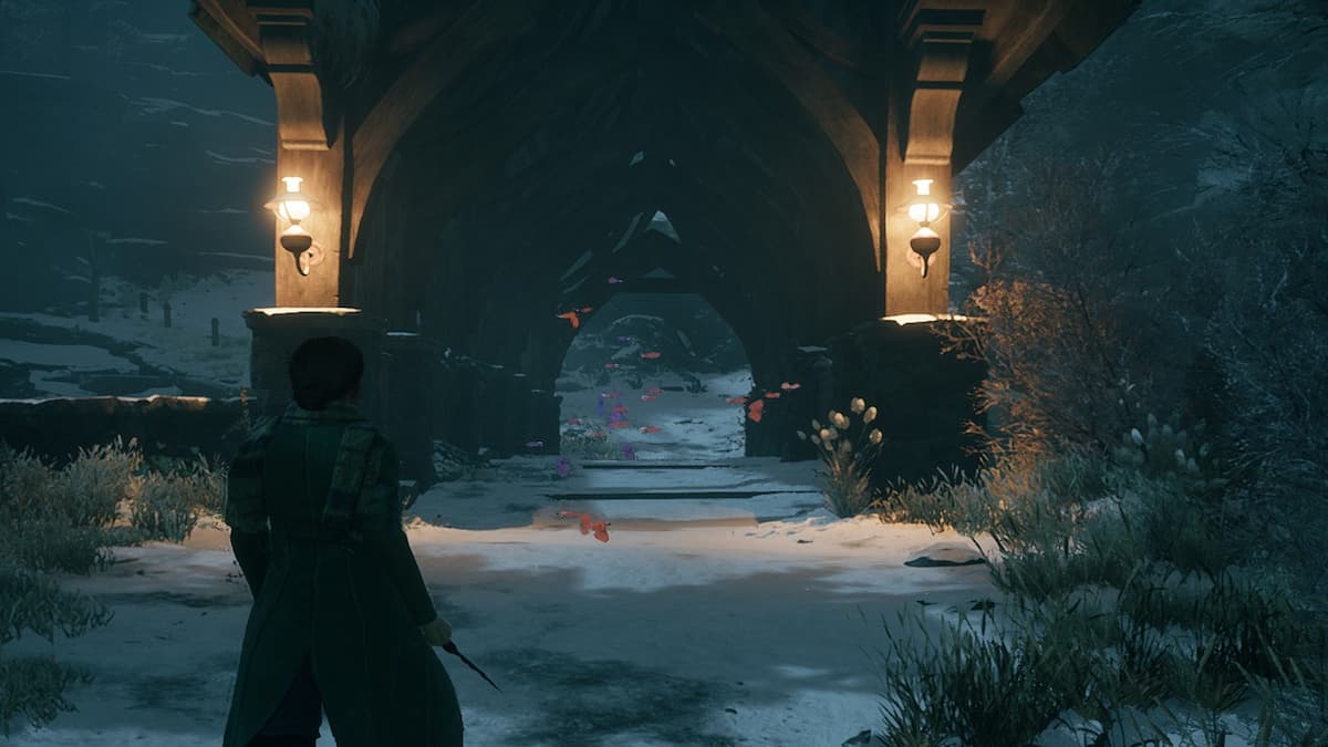 Hogwarts Legacy的所有蝴蝶地点