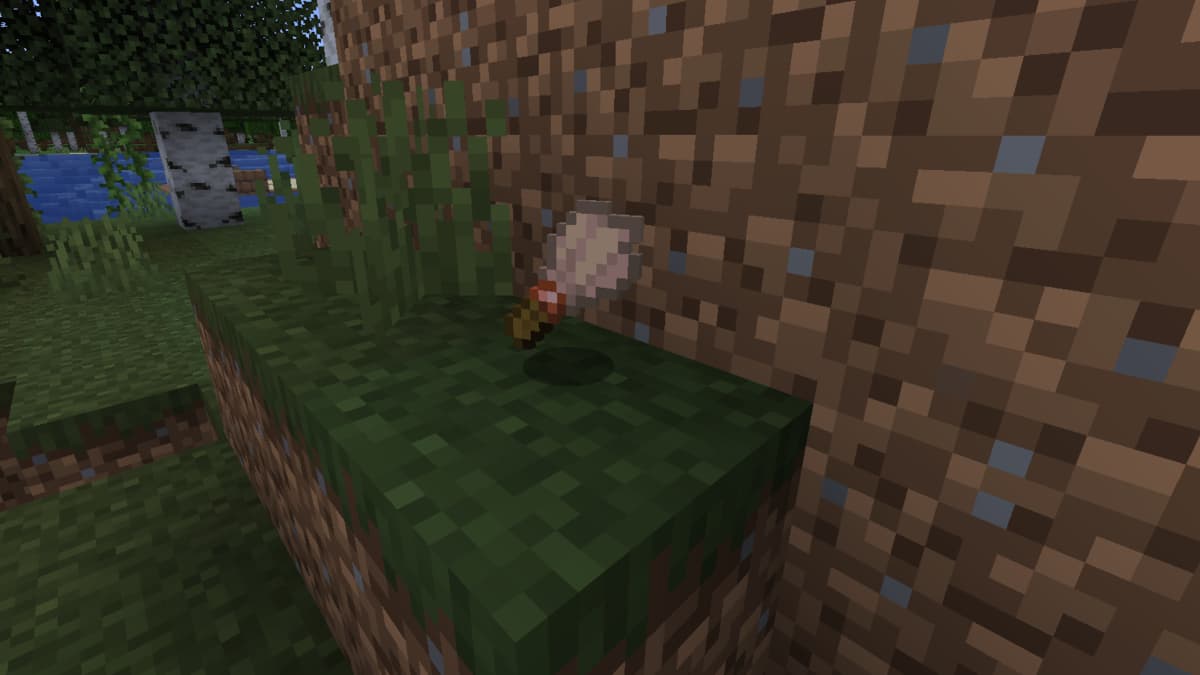 Minecraft中使用的刷子是什麼？
