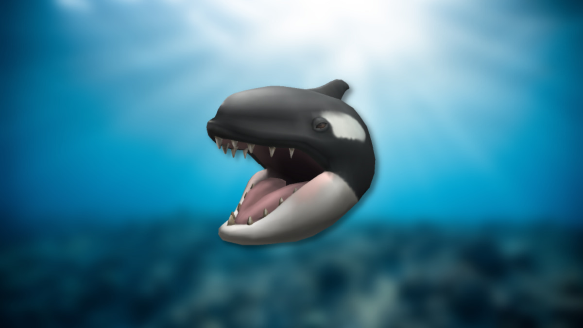 如何在 Roblox 上获得免费的 Hungry Orca 头像物品