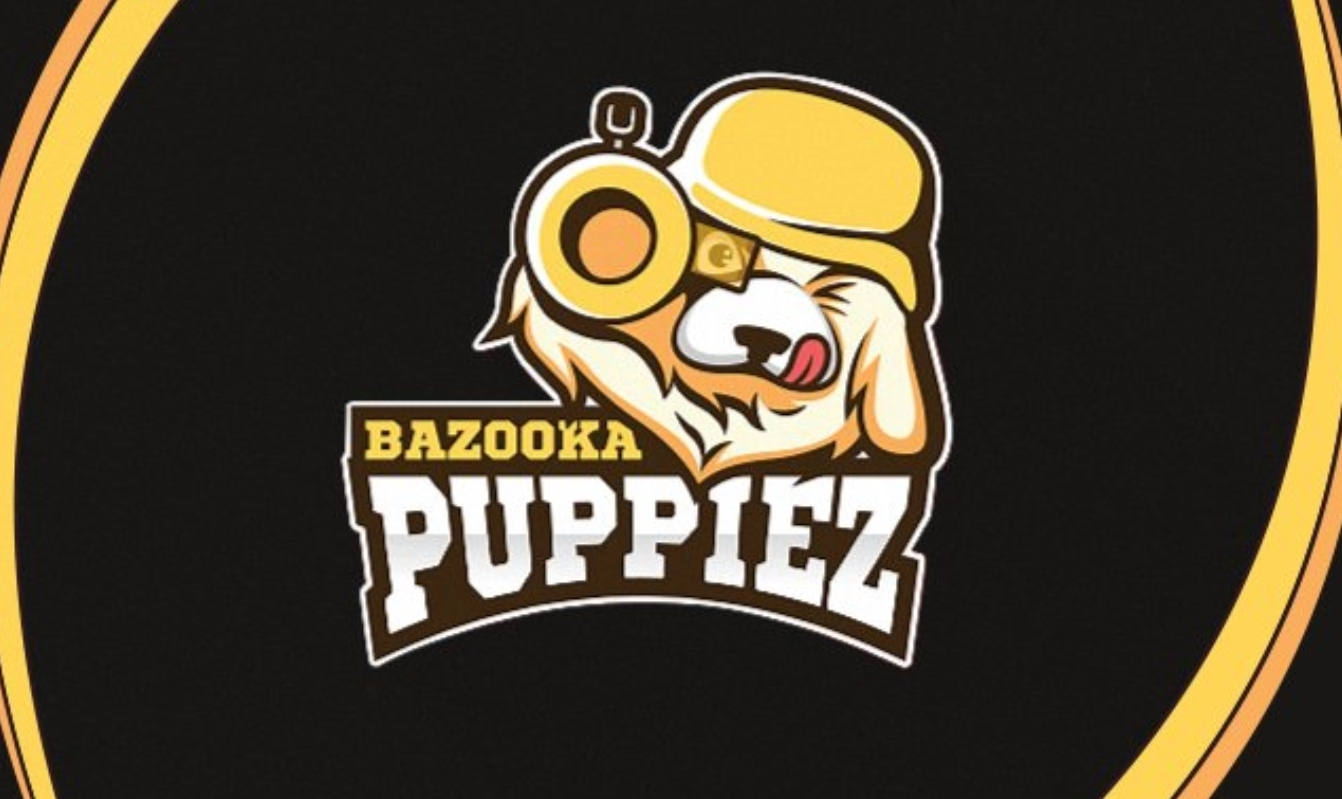 新的《守望先锋挑战者系列赛》战队 Bazooka Puppiez 获得了游戏中最好听的名字