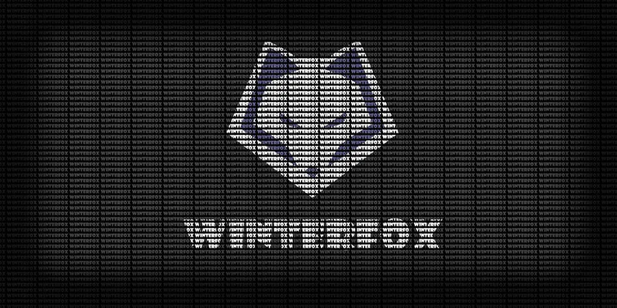 Winterfox打算通过Challenger系列支持团队