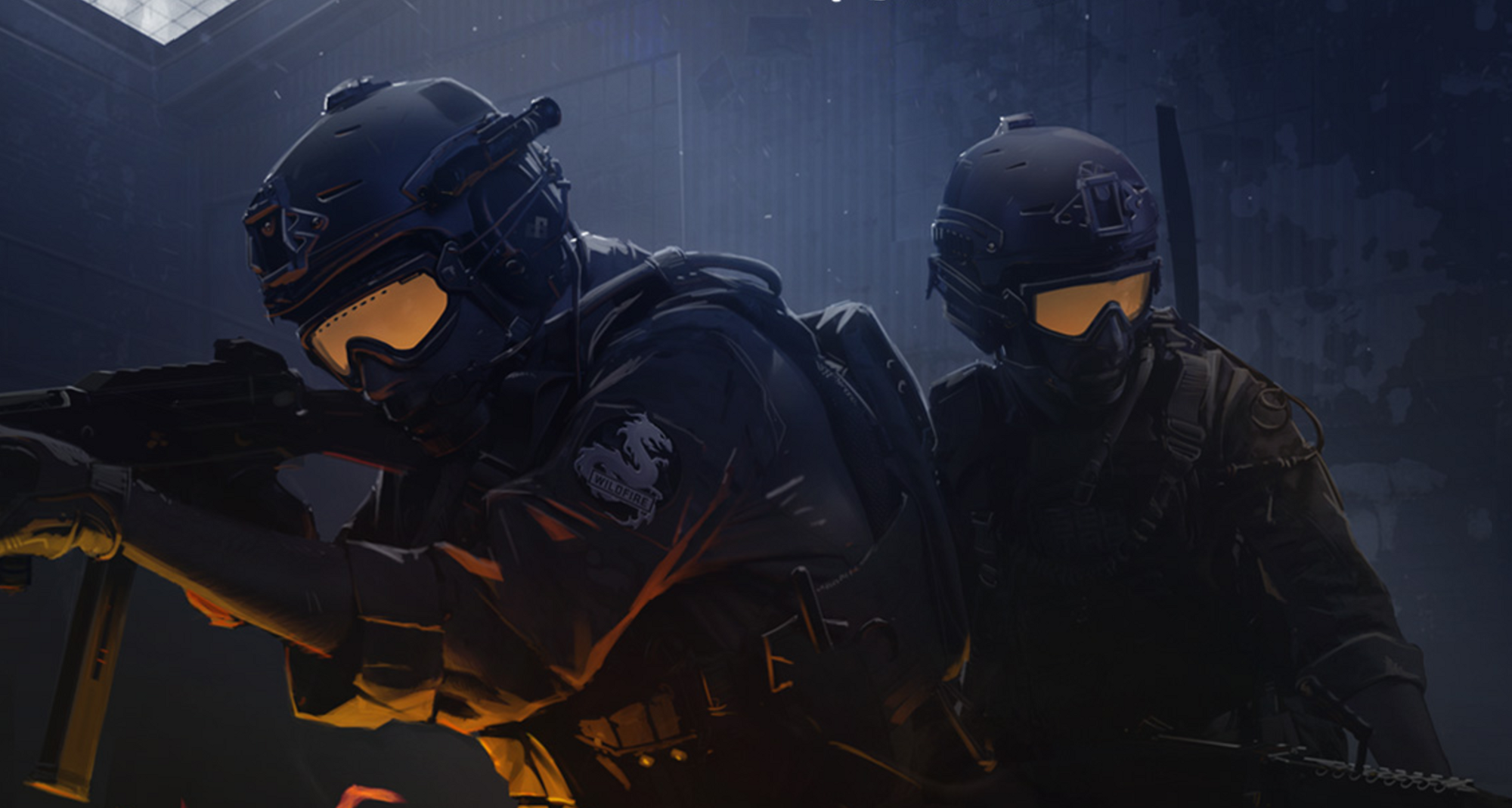 ECS 透露其独特所有权模式的详细信息