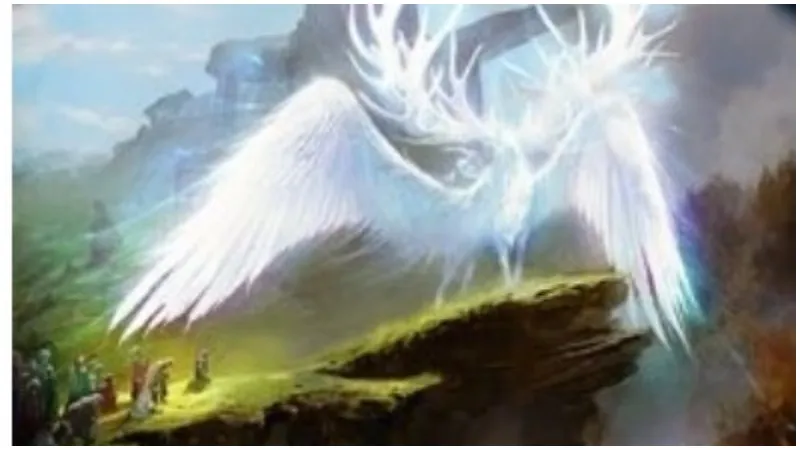 Eldraine最好和最差的白色有限卡評論的寶座