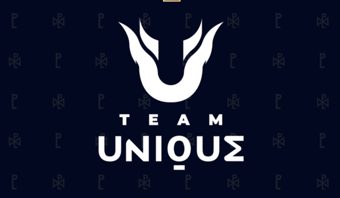 团队独特的标志Nopangolier 2021 Dota Pro Circuit