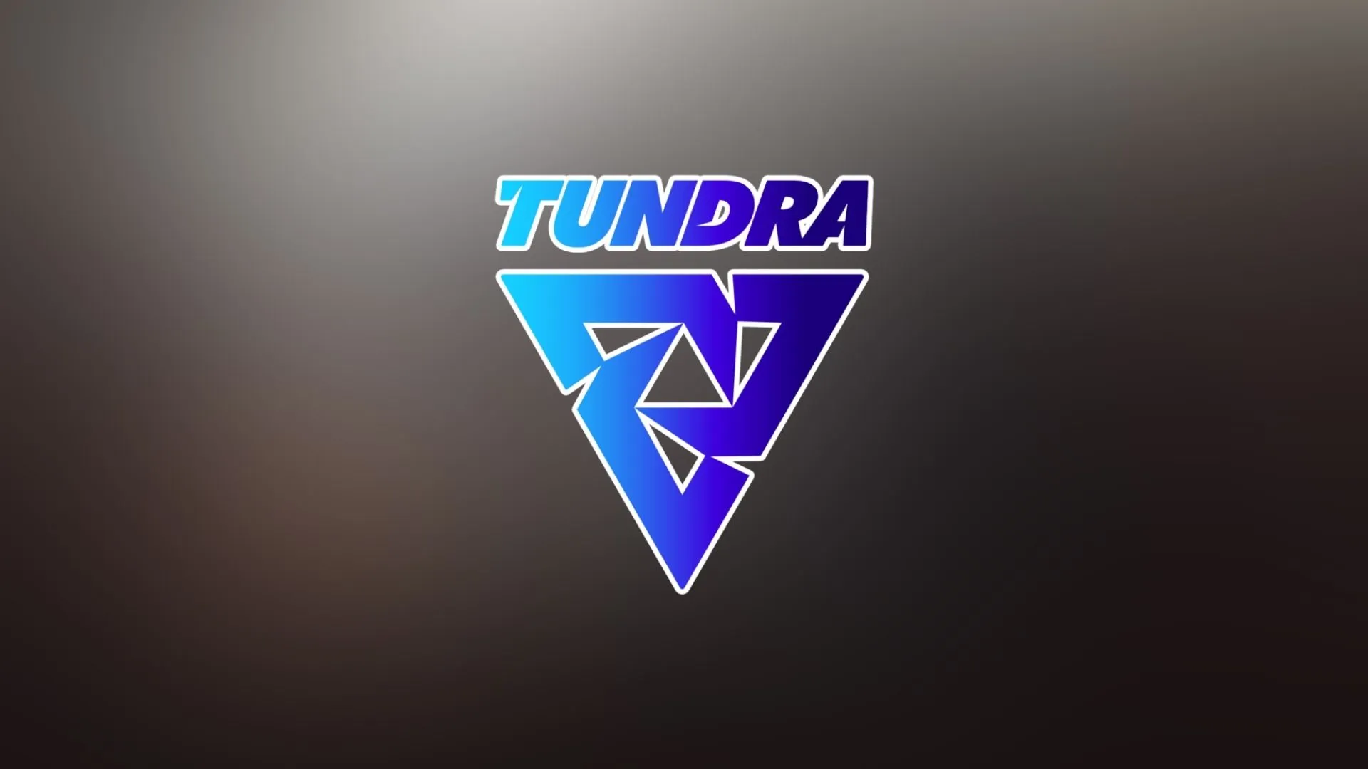 Tundra Esports 签约泥傀儡进军 Dota 2