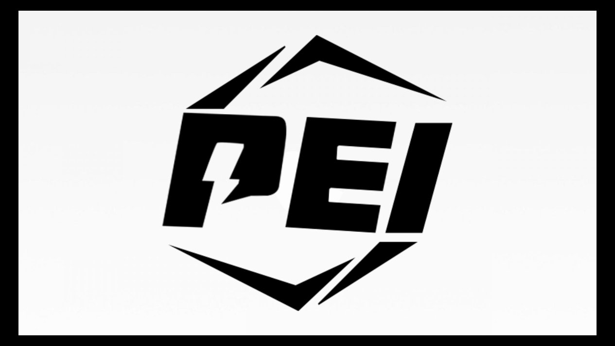 所有参加维持和平人员精英邀请赛（PEI）亚洲2021的球队