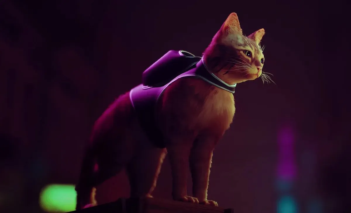 你能在《Stray》中定制你的猫吗？