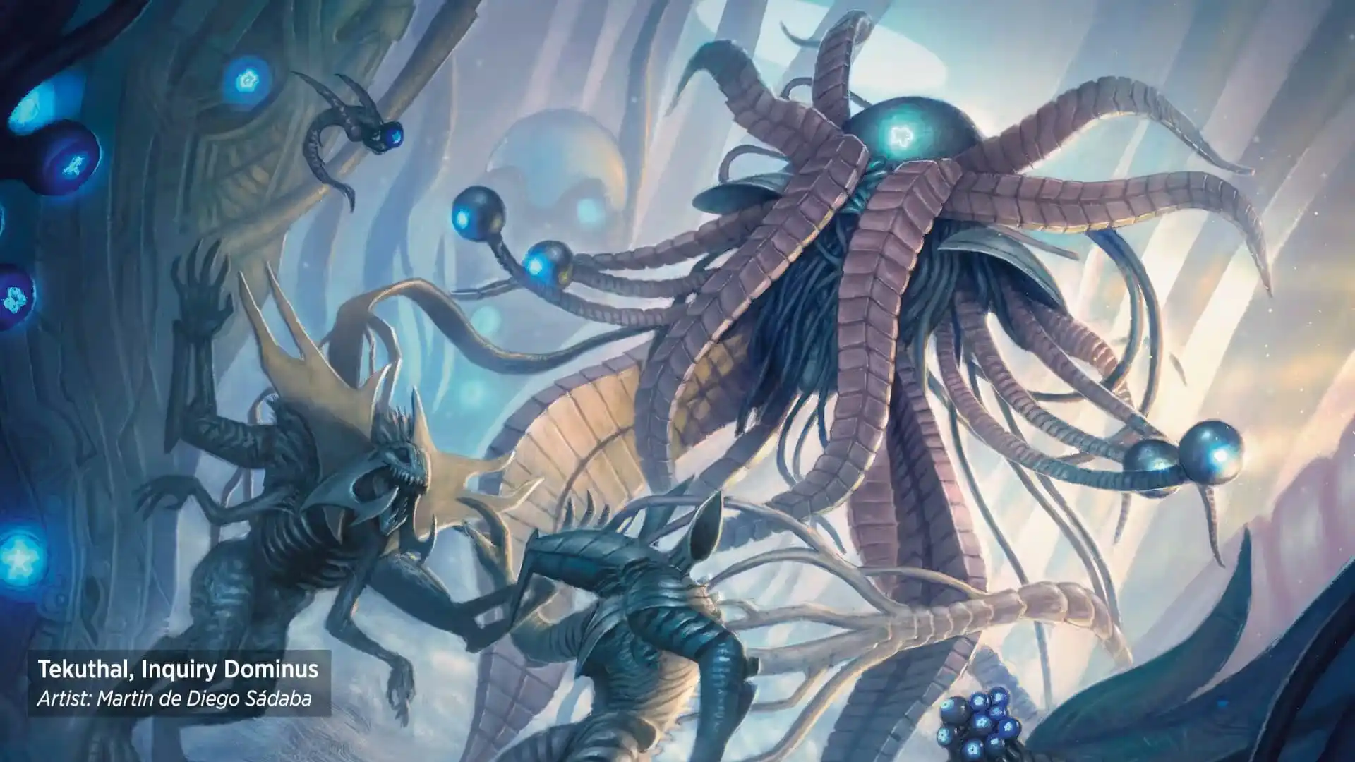 所有MTG Dominus卡一張以及它們的工作方式