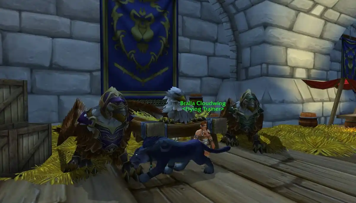 如何在WOW Disaclysm Classic中获得飞行硕士的执照