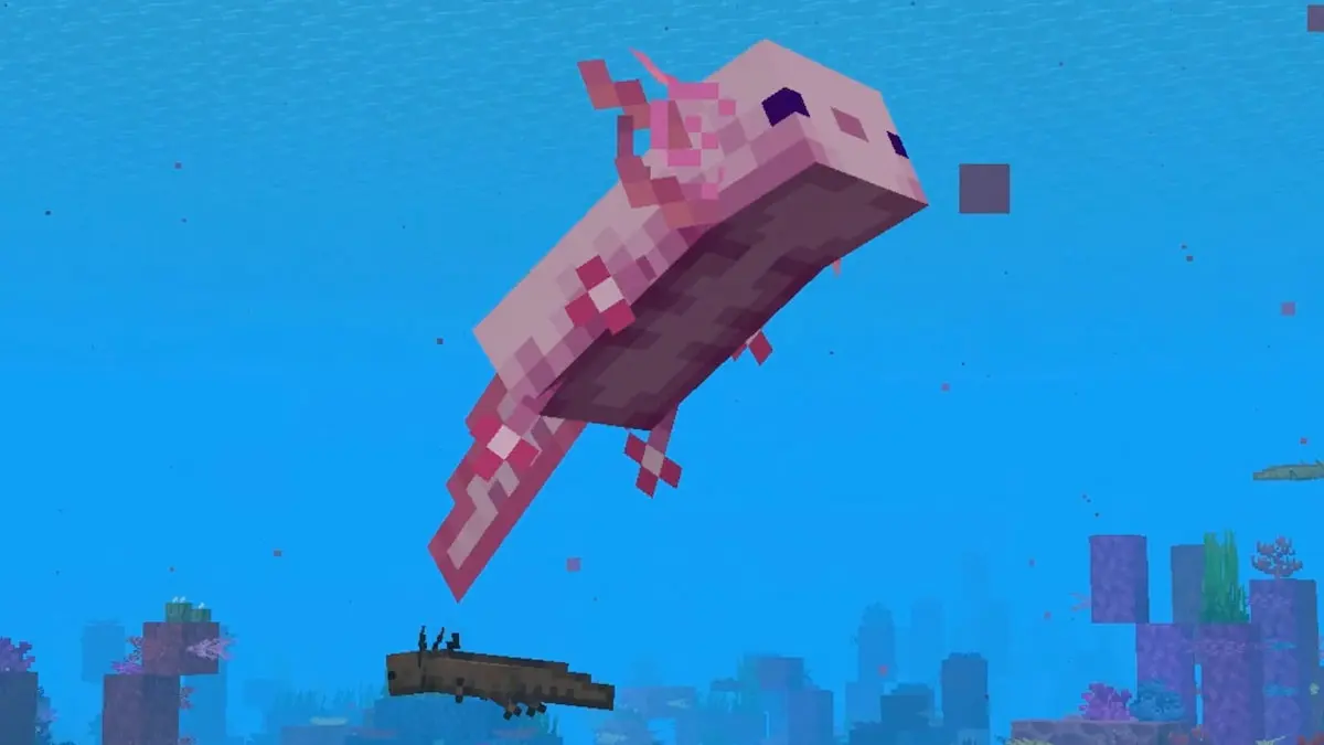 如何在Minecraft中繁殖Axolotls