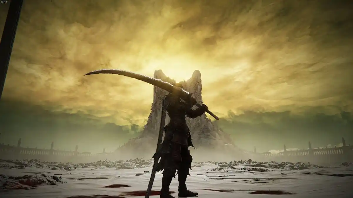 埃爾登·林（Elden Ring）最受歡迎的mod之一經過全面大修