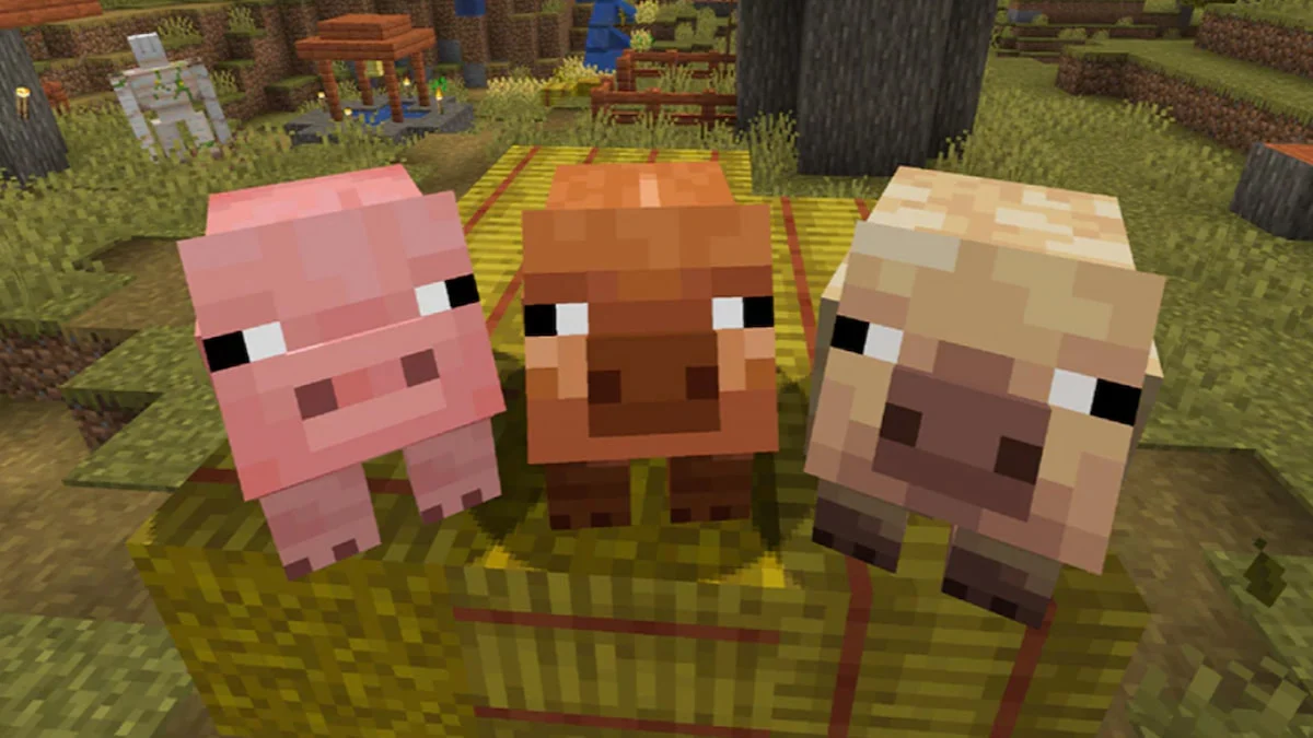 所有 Minecraft Pig 變體以及在哪裡可以找到它們