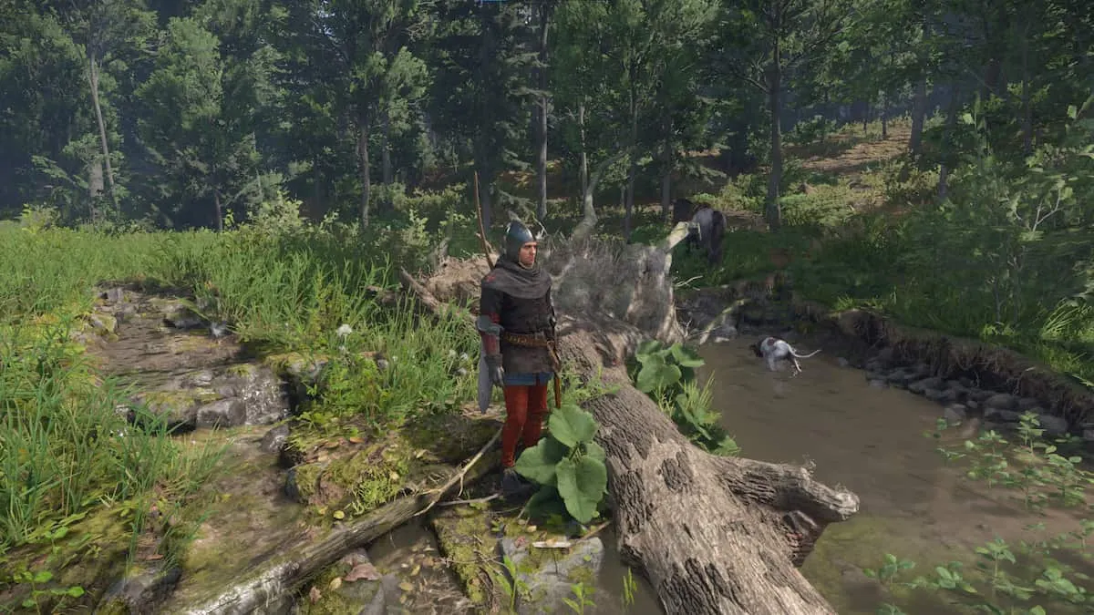 如何完成Vidlak Bandit的王國地圖Come Deliverance 2