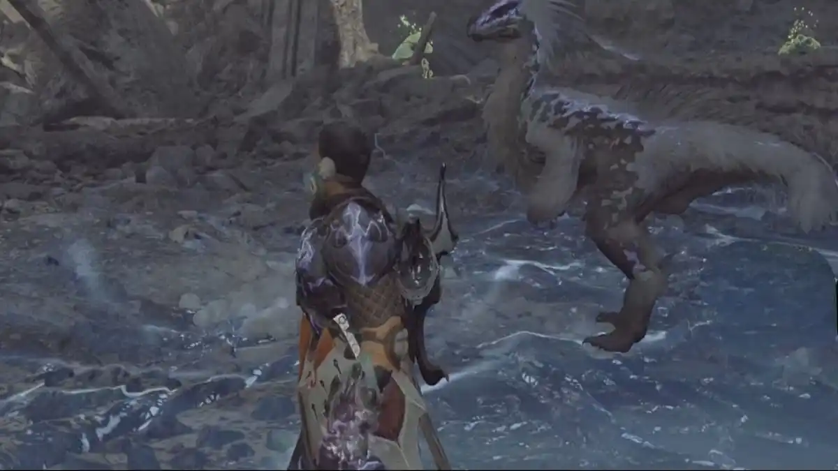 监护人Seikret Feather的位置在Monster Hunter Wilds
