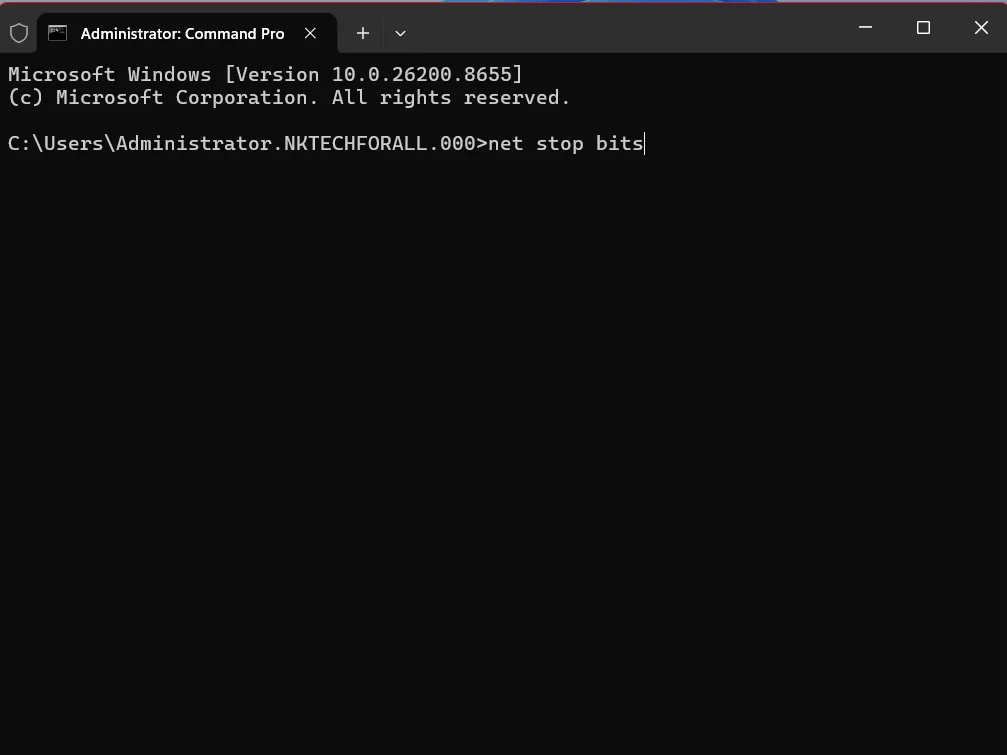 在命令提示符中重置 Windows 更新组件