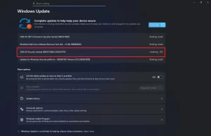 KB5127648 failed to install in Windows 11 1 1.jpg