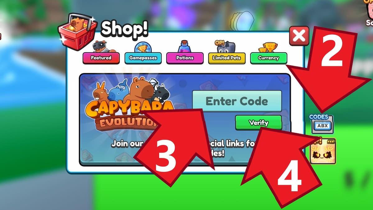 Capybaba Evolution代碼（2025年2月）