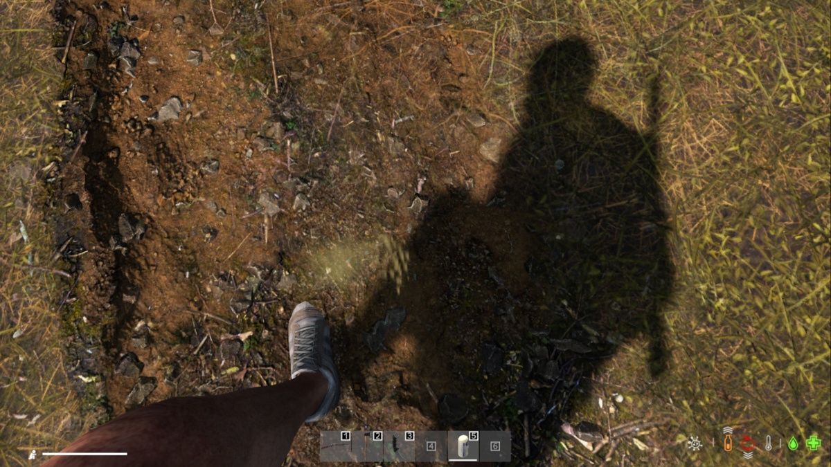 Dayz 疾病圖表:所有疾病和治療方法